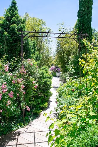 louis-moulin-arche-de-jardin-pergola-noir-charbon-support-plantes-grimpantes-198 image 6