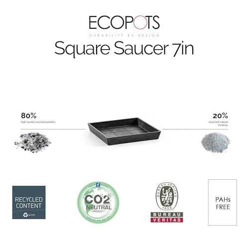 ecopots-rotterdam-soucoupe-carr-e-18-cm-anthracite image 8