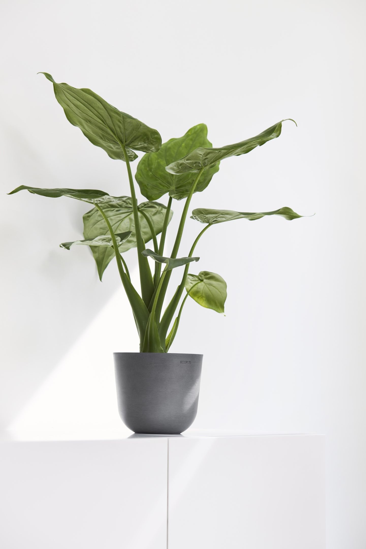 ecopots-oslo-mini-16-vase-gris-16-x-14-cm image 4