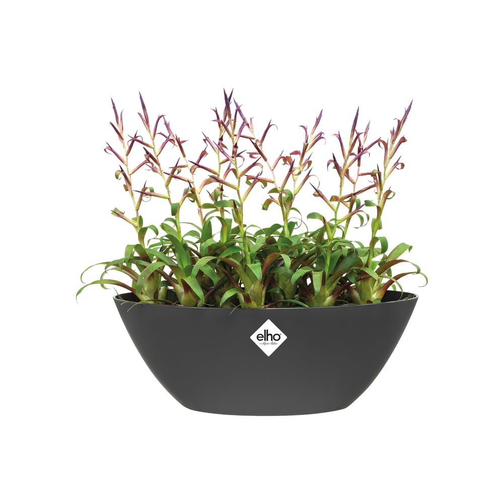 elho-brussels-ovale-20-pot-de-fleurs-int-rieur-noir-anthracite-20-2-x-h-10-5-cm image 8