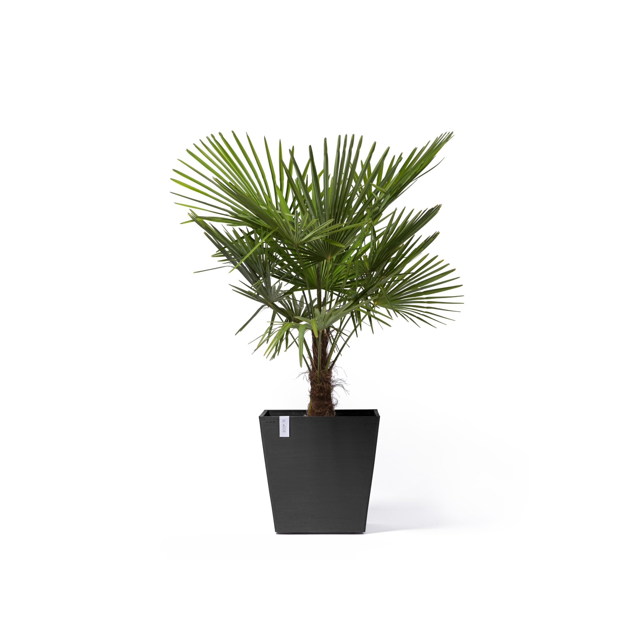 ecopots-rotterdam-grand-pot-sur-roues-50-gris-fonc-50-x-50-x-h-49-2-cm-76-3-l image 3