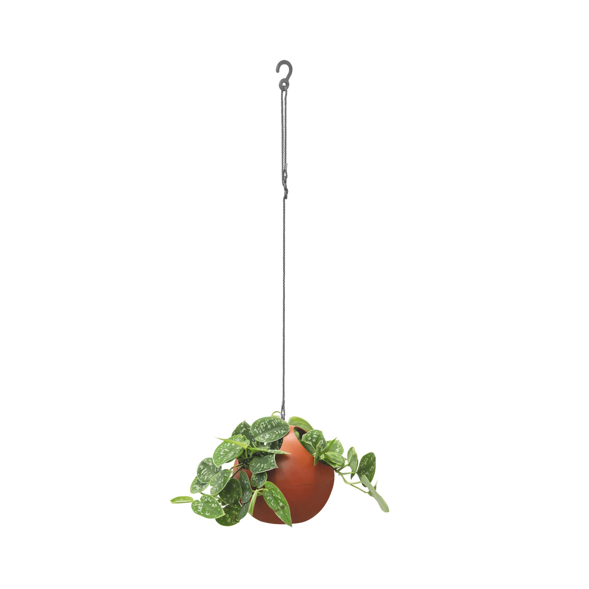elho-b-for-soft-air-18-pot-suspendu-18-cm-marron-brique image 7