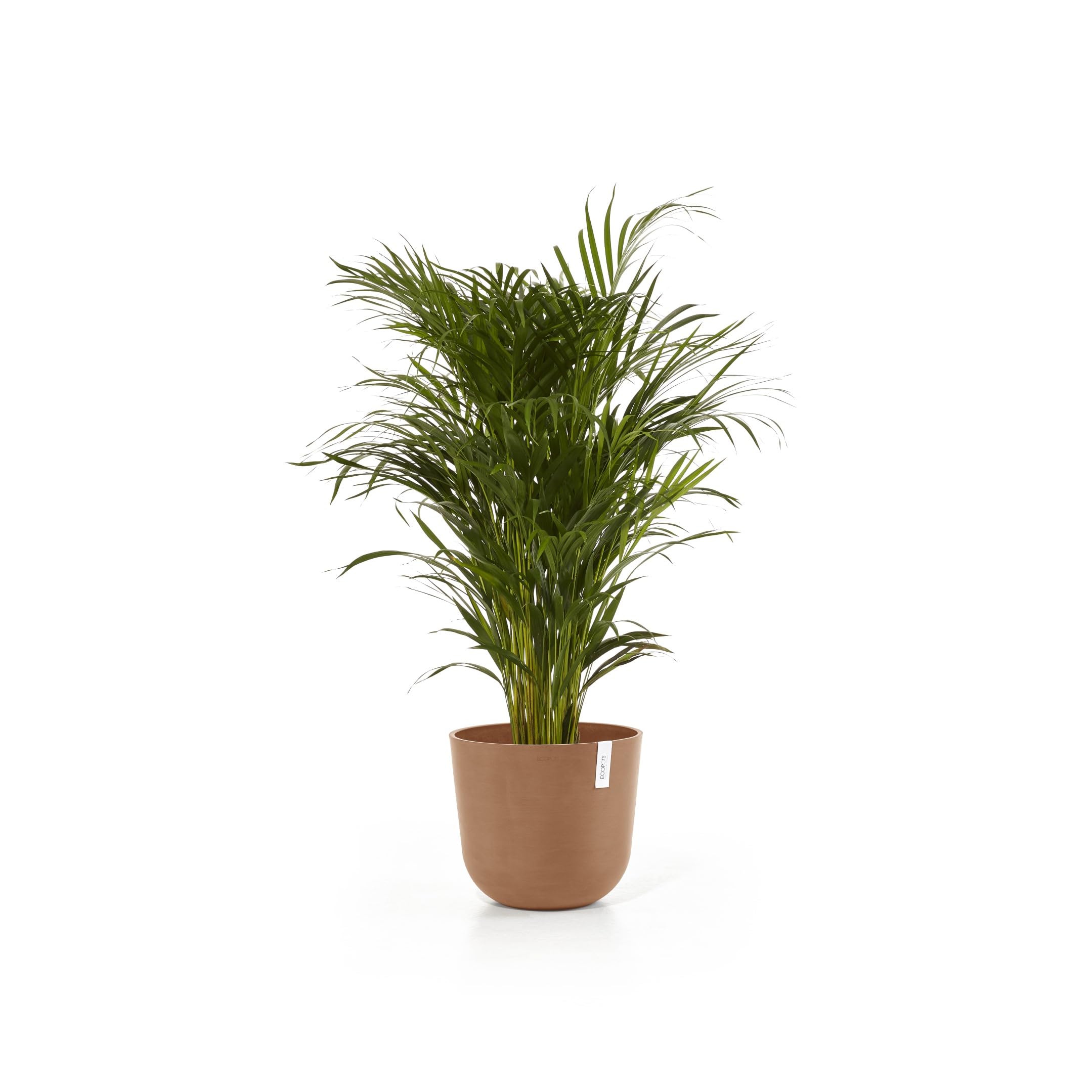ecopots-oslo-pot-rond-35-1-x-35-1-x-30-5-cm-terre-cuite image 2