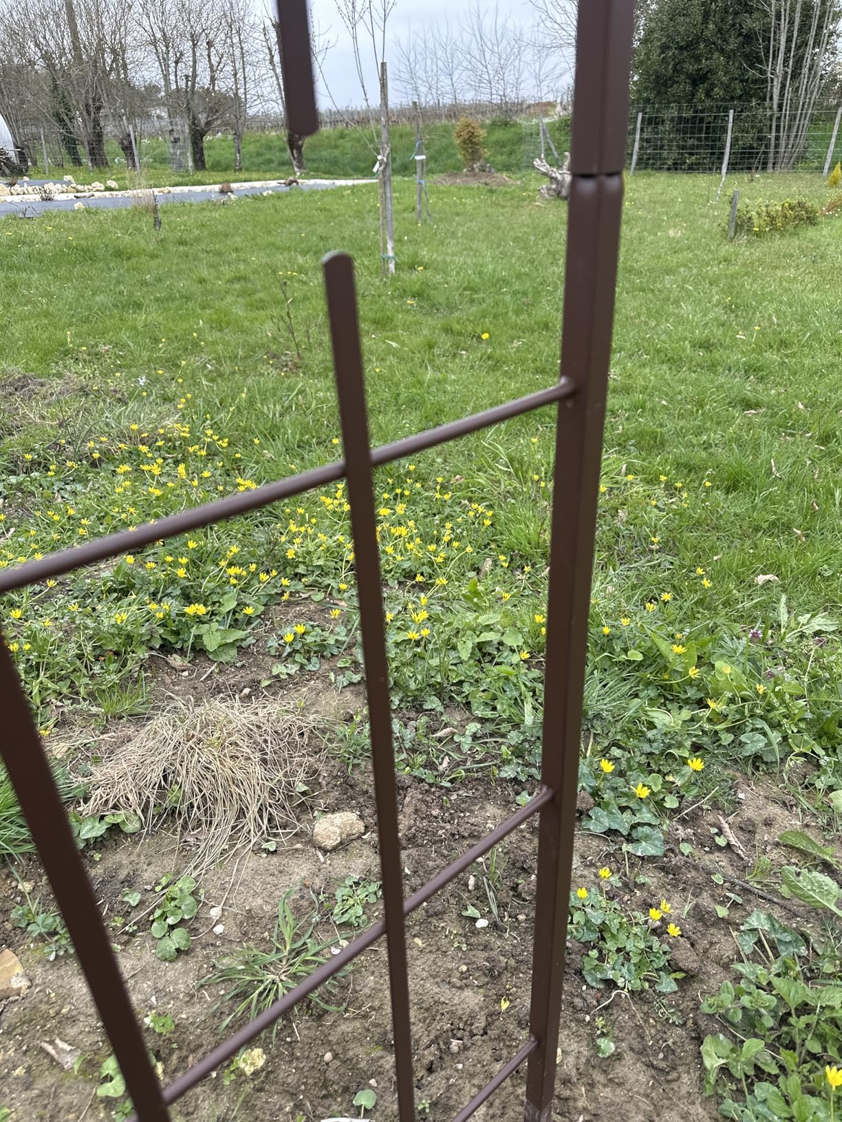Magnifique au jardin