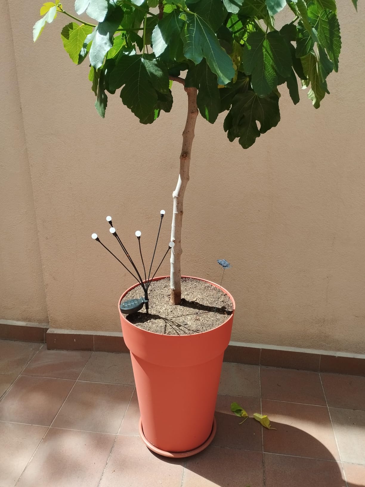 Super pot mais livraison compliquée