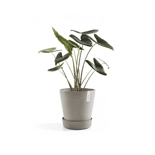 ecopots-wheels-support-roulettes-taupe-34-1-x-h-9-cm image 7