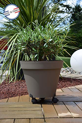 louis-moulin-roule-plante-extensible-27-37-cm-anthracite-support-roulettes-75-kg image 6