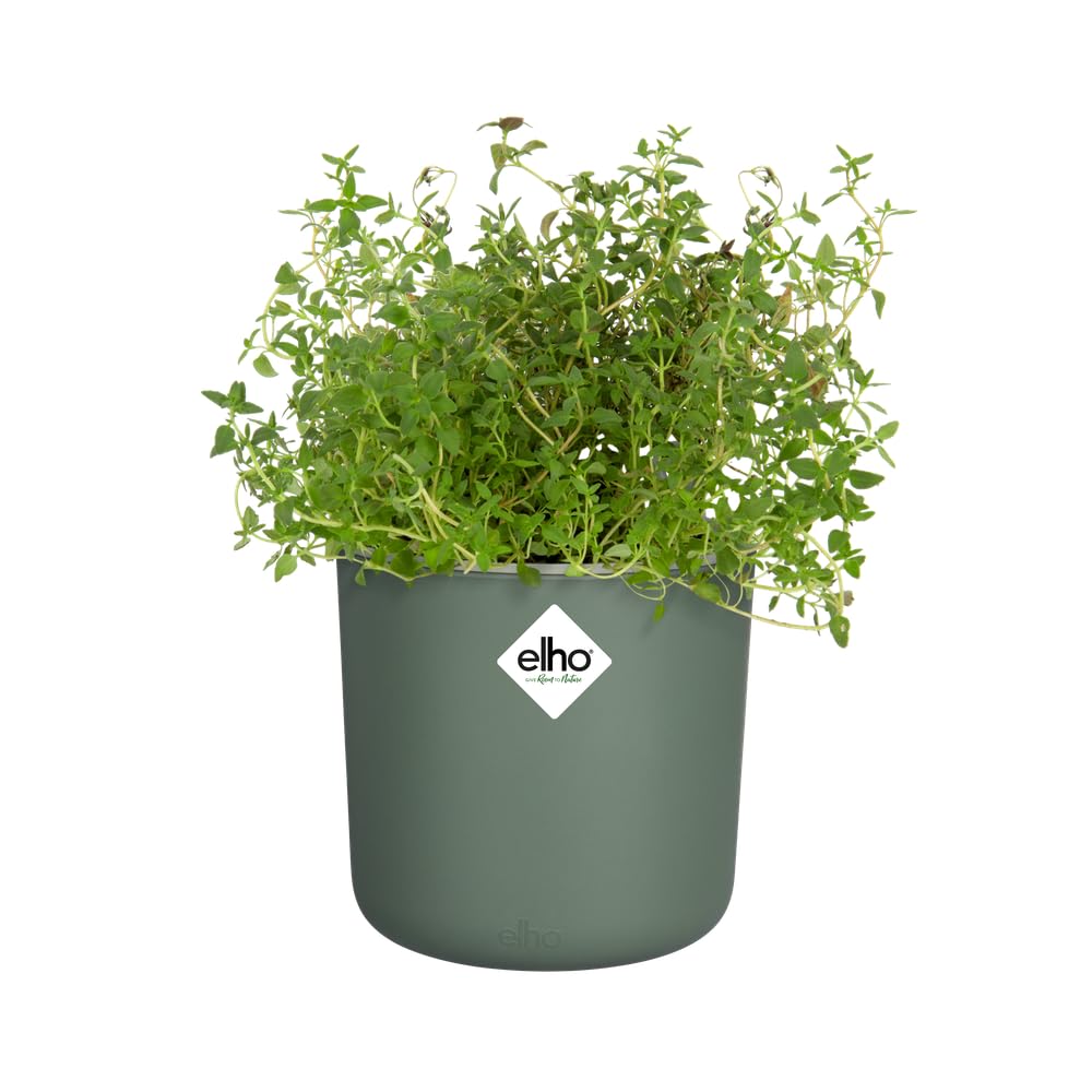 elho-happy-herbs-pot-14-cm-avec-r-servoir-300-ml-14-5-x-h-17-cm-leaf-green image 6