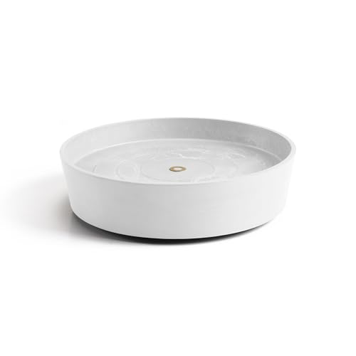 ecopots-wheels-40-support-roulettes-blanc-pur-34-1-x-h-9-cm image 6