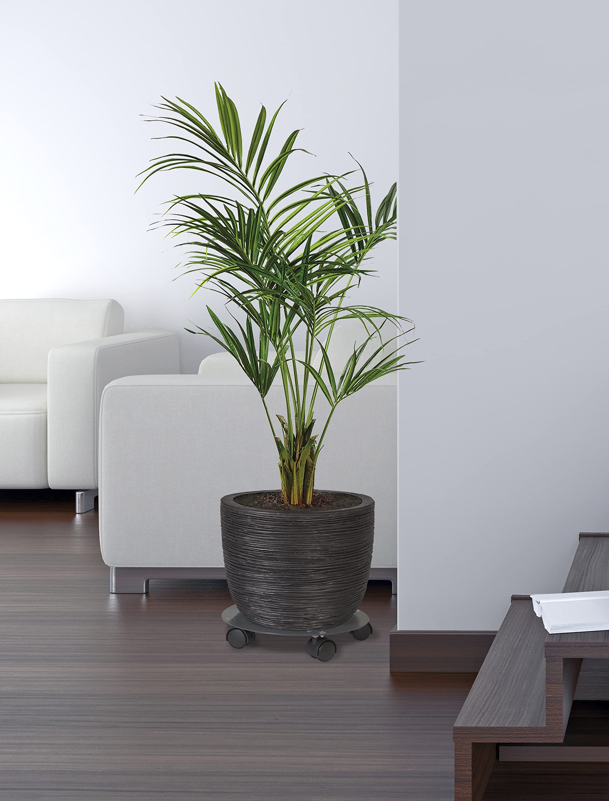 louis-moulin-roule-plante-design-50-cm-anthracite-made-in-france image 3
