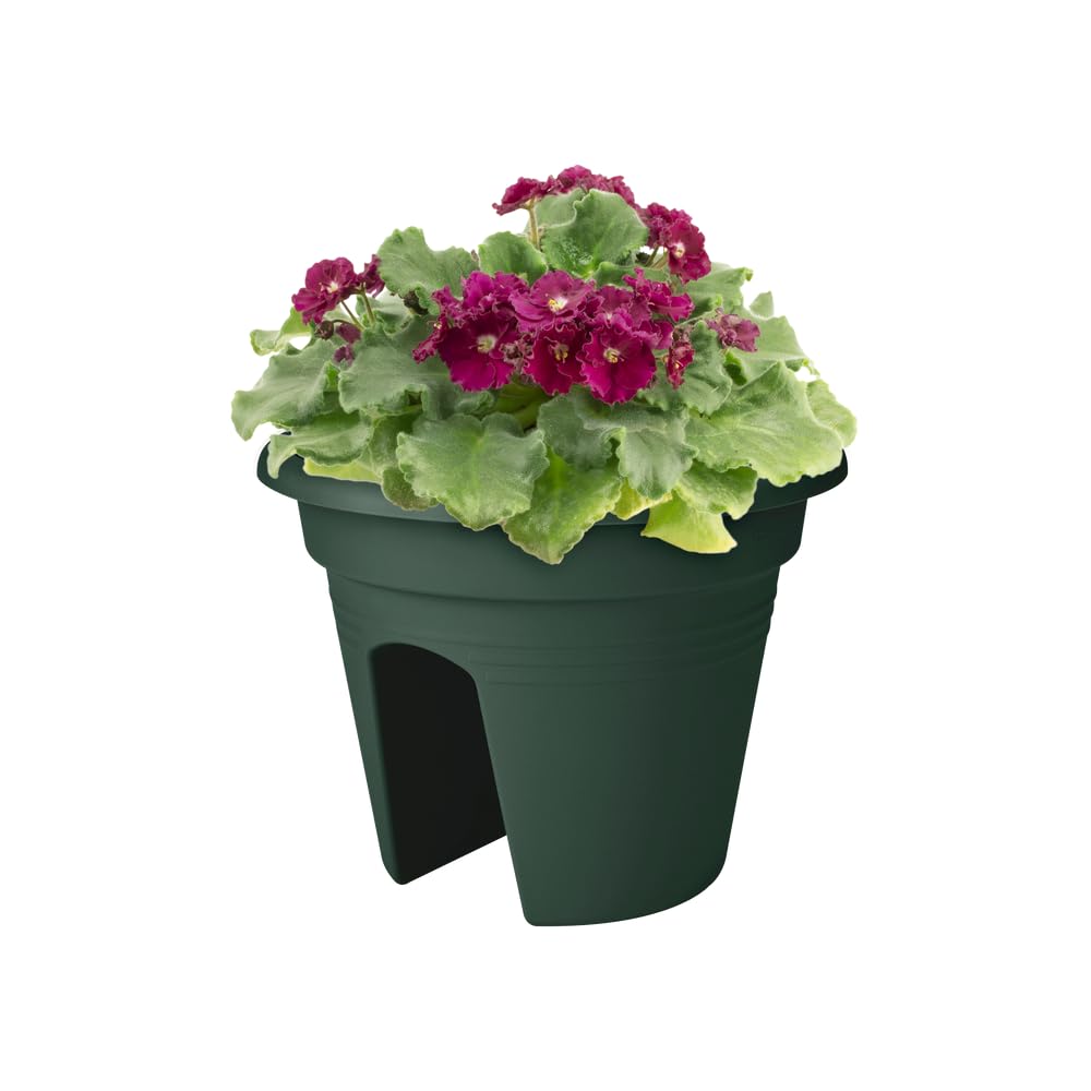 elho-green-basics-flower-bridge-30-vert-leaf-green-jardini-re-de-balustrade image 6