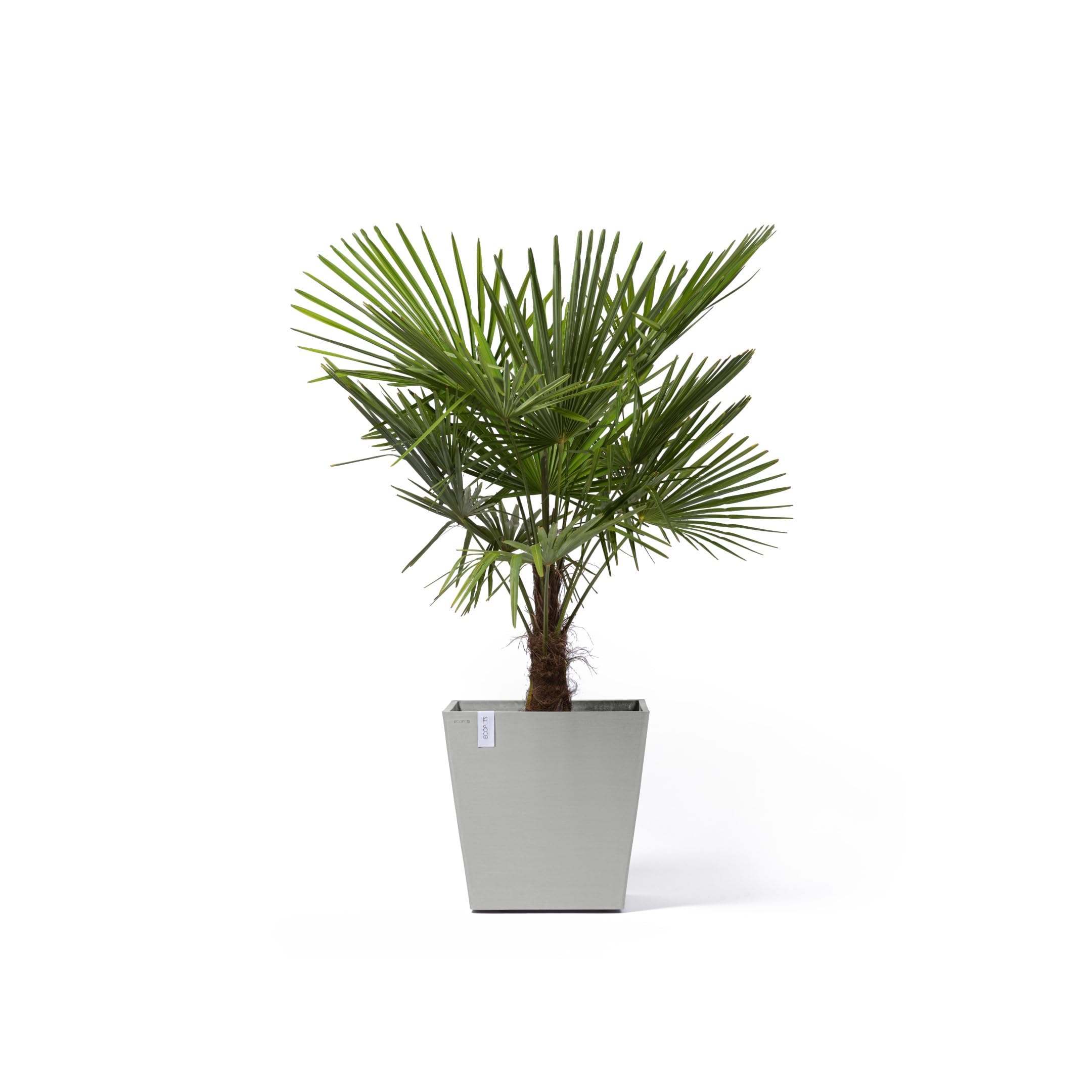 ecopots-rotterdam-50-grand-pot-sur-roues-blanc-gris-50-x-50-x-h-49-2-cm-76-3-l image 2