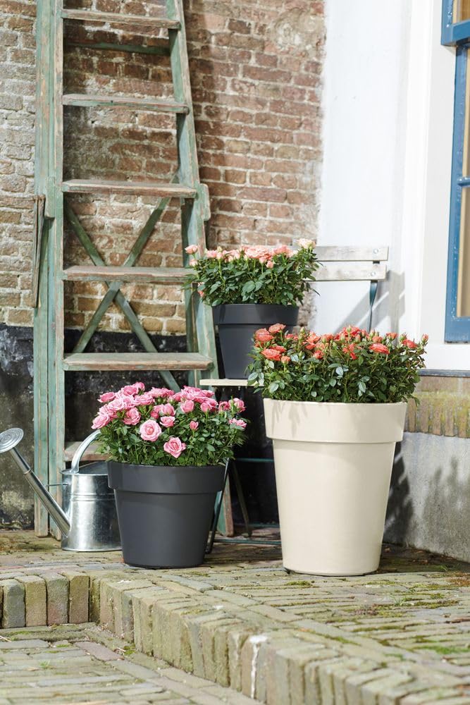 elho-green-basics-top-planter-haut-35-cm-blanc-coton-34-5-x-h-41-cm image 5