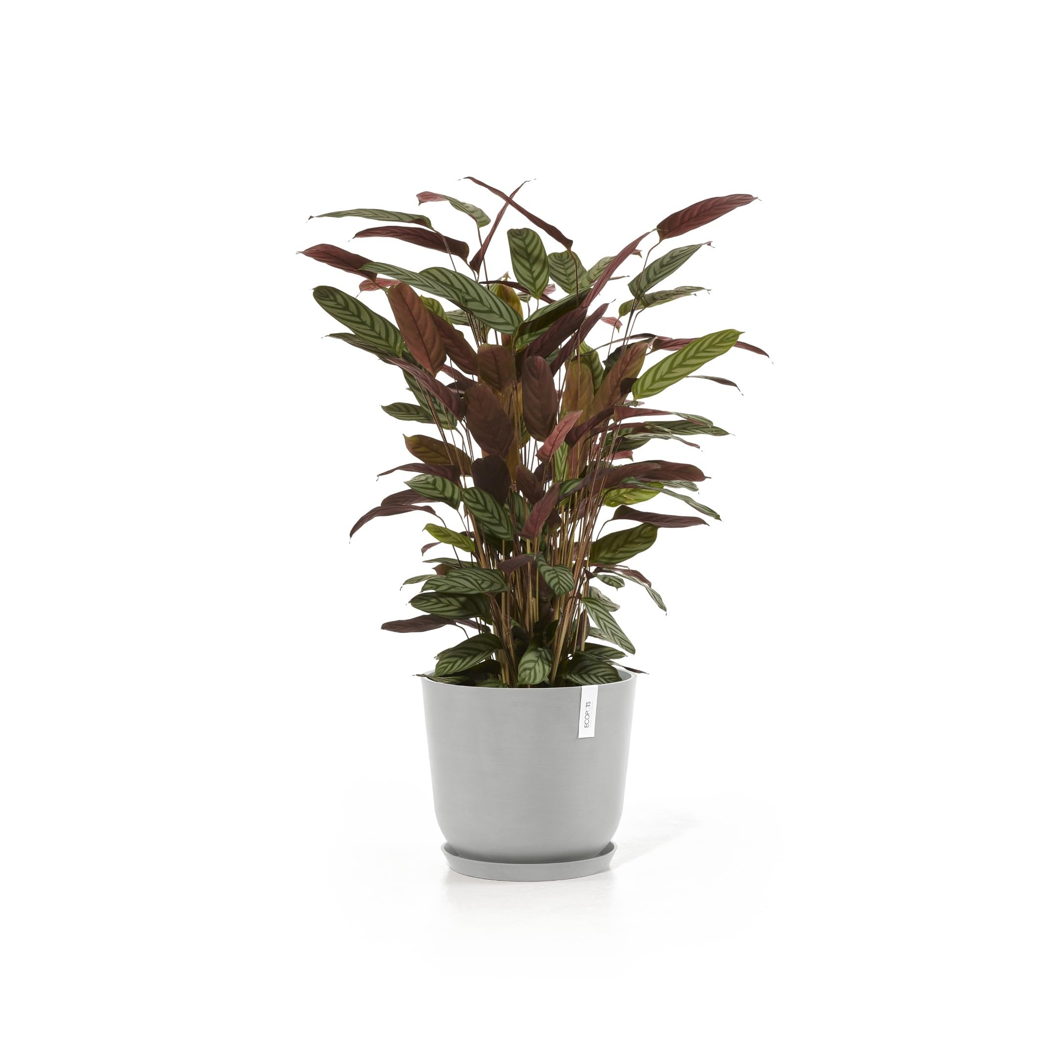 ecopots-oslo-35-pot-rond-blanc-gris-avec-r-servoir-d-eau-35-x-h-30-5-cm-21-7-l image 6