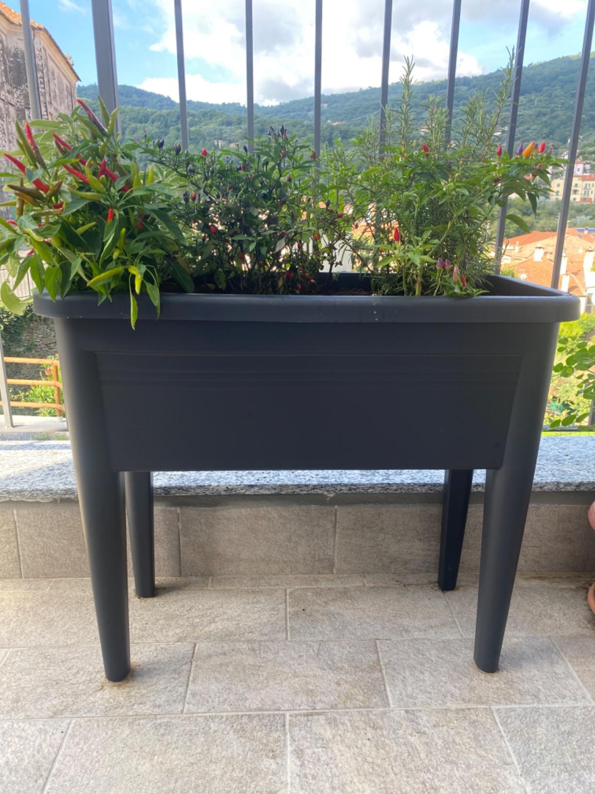 Potager parfait sur terrasse