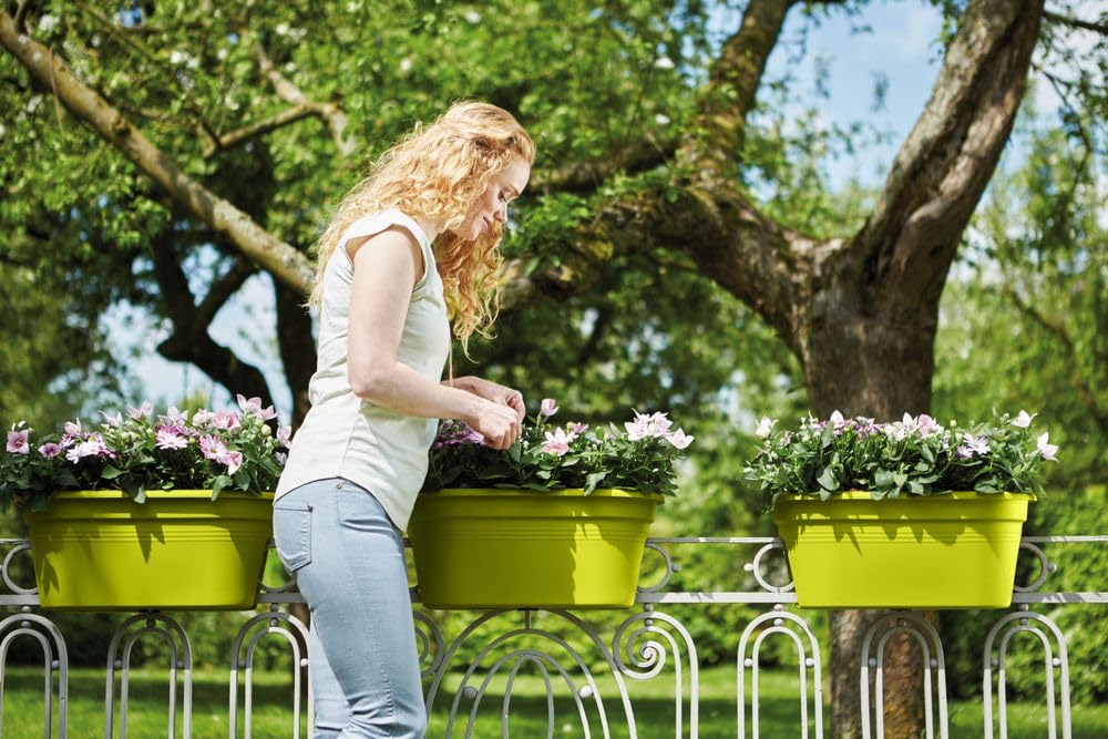 elho-green-basics-flower-bridge-55-jardini-re-de-balcon-vert-lime image 5