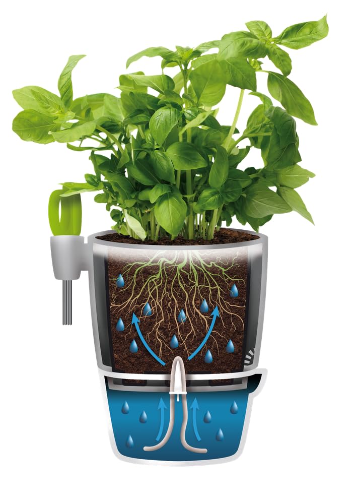 elho-brussels-all-in-1-pot-herbes-13-cm-anthracite-avec-ciseaux image 4