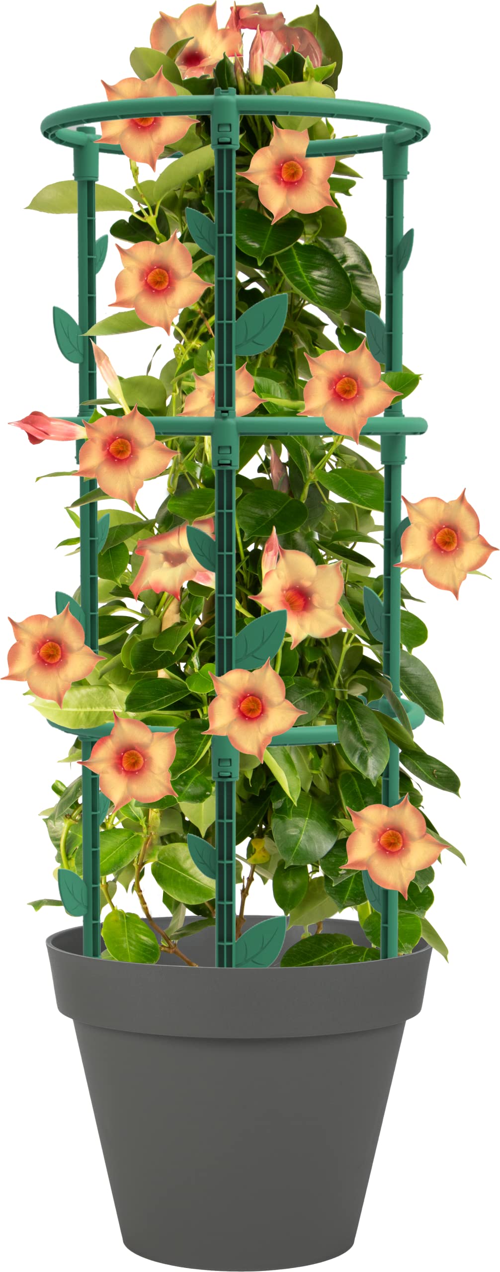 eda-veg-table-tuteur-pour-plantes-grimpantes-rond-25-x-h-66-3-cm-vert-canada image 2