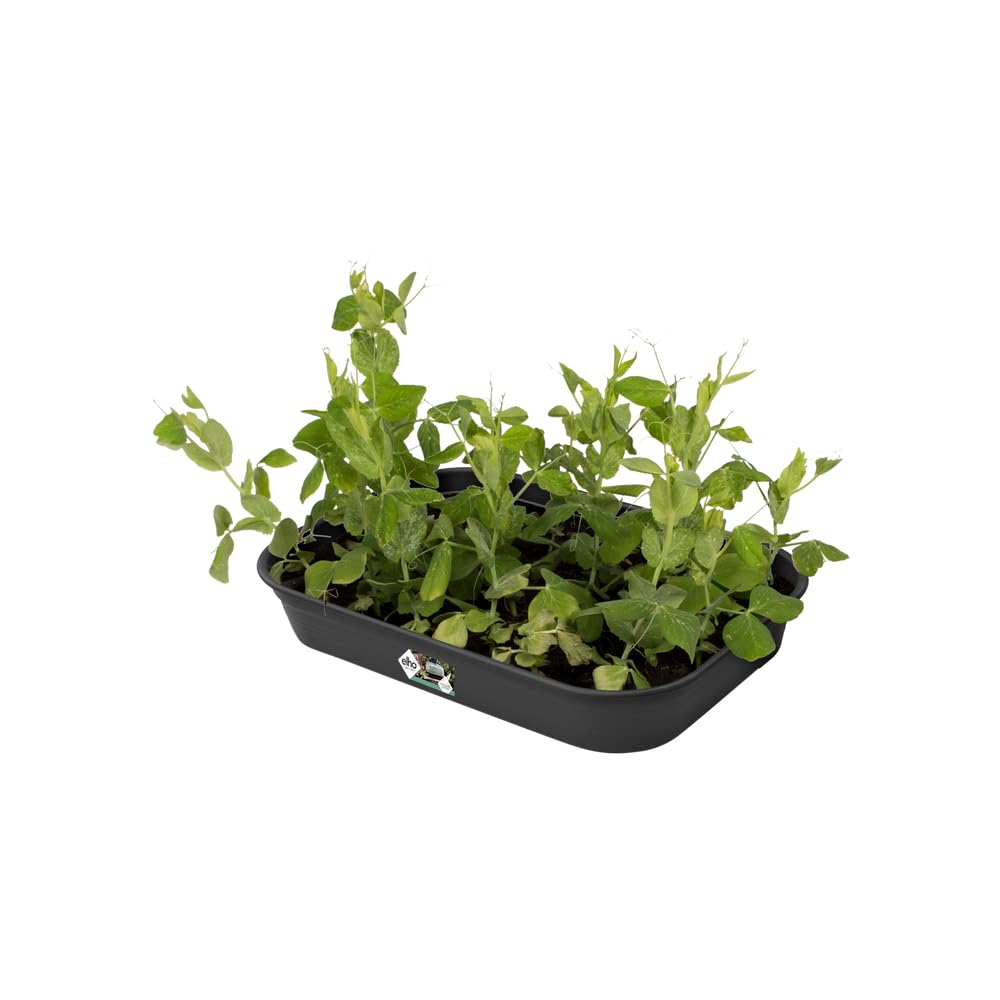 elho-green-basics-m-plateau-de-culture-26-5-x-36-x-6-3-cm-living-noir image 4