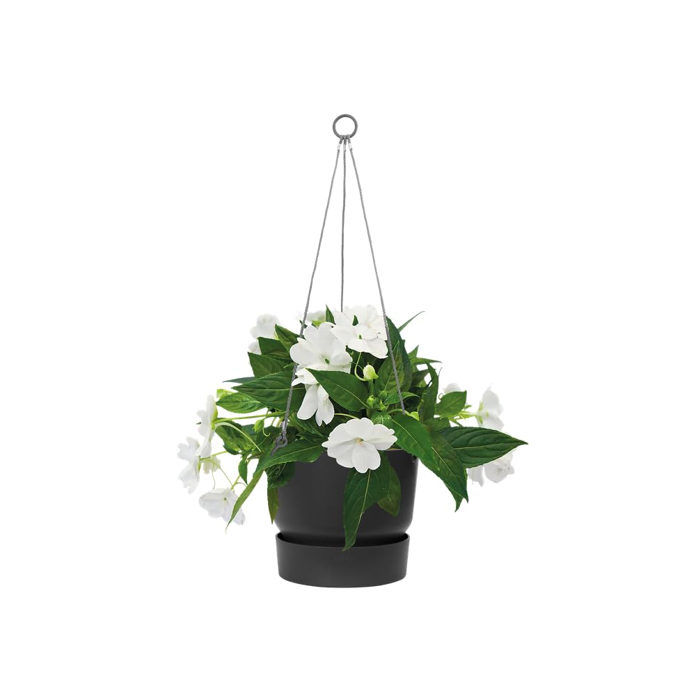 elho-greenville-suspension-24-cm-balconni-re-living-noir image 8