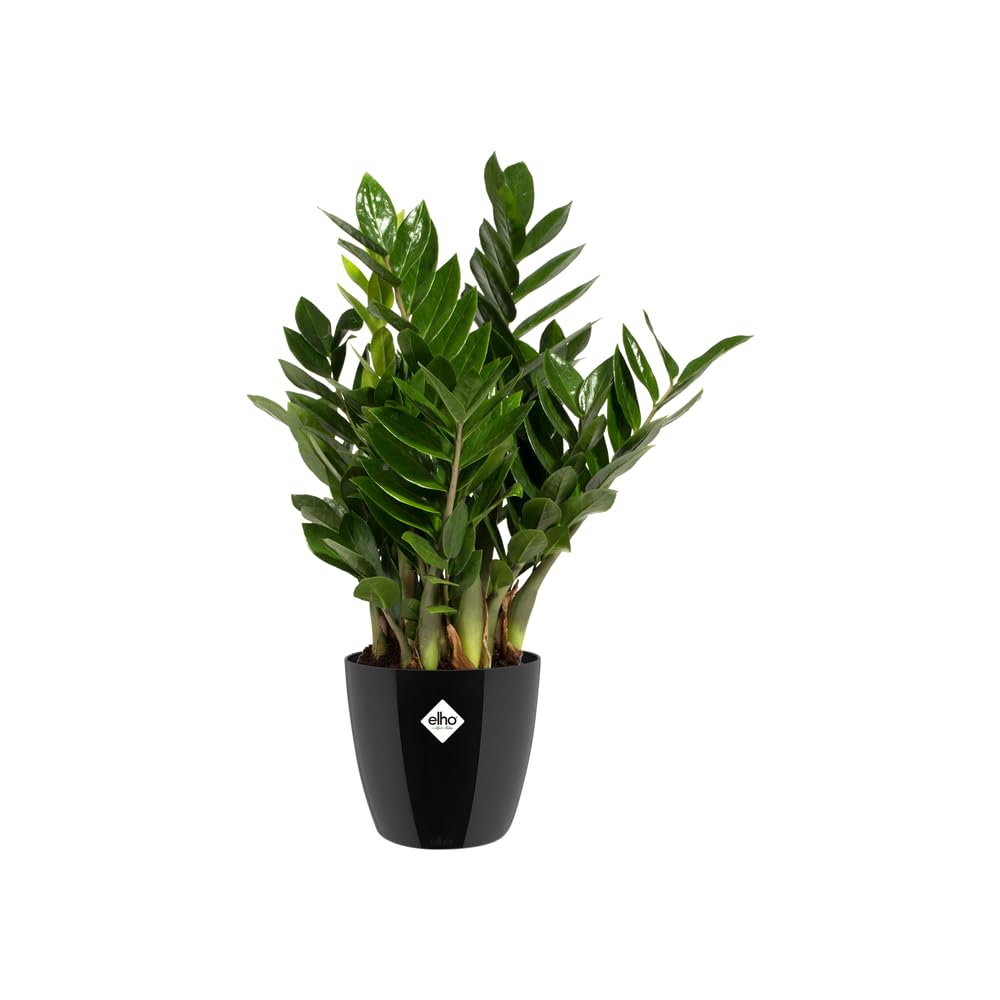 elho-brussels-diamond-rond-22cm-cache-pot-noir-metallic-22-4-x-h-20-1-cm image 3