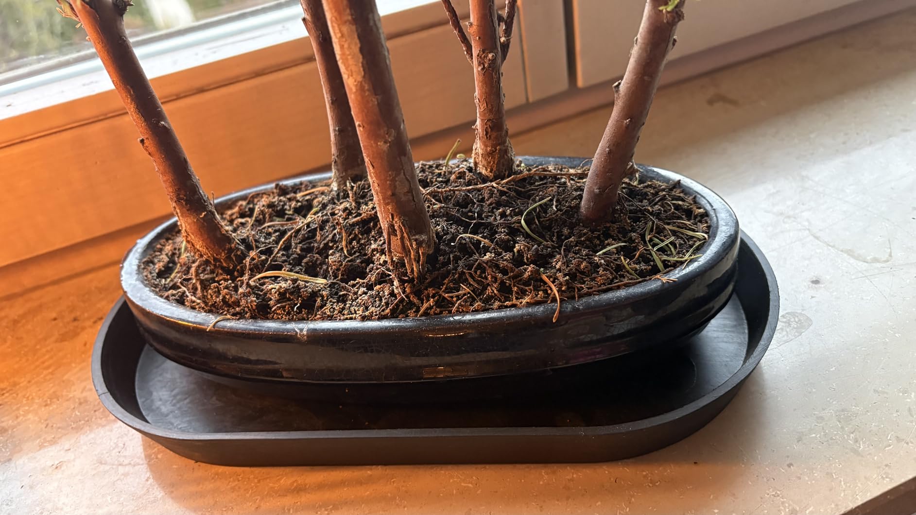 Pile à la bonne taille