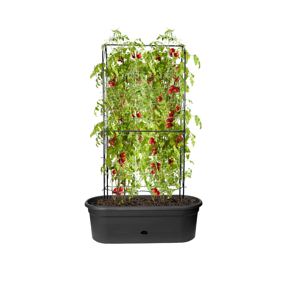elho-green-basics-jardini-re-treillis-80-cm-living-noir-l-77-5-x-31-x-h-26-cm image 3