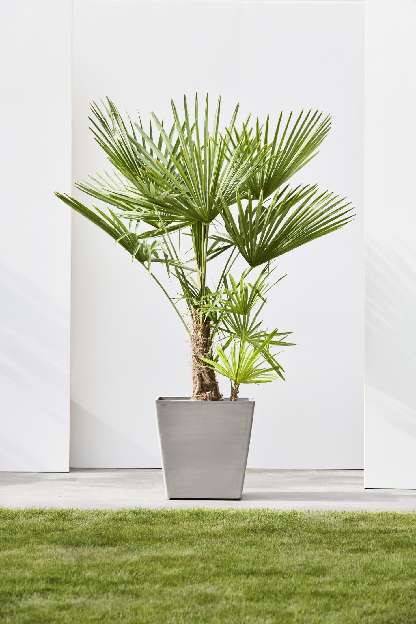 ecopots-rotterdam-50-grand-pot-sur-roues-taupe-50-x-50-x-h-49-2-cm-76-3-l image 6