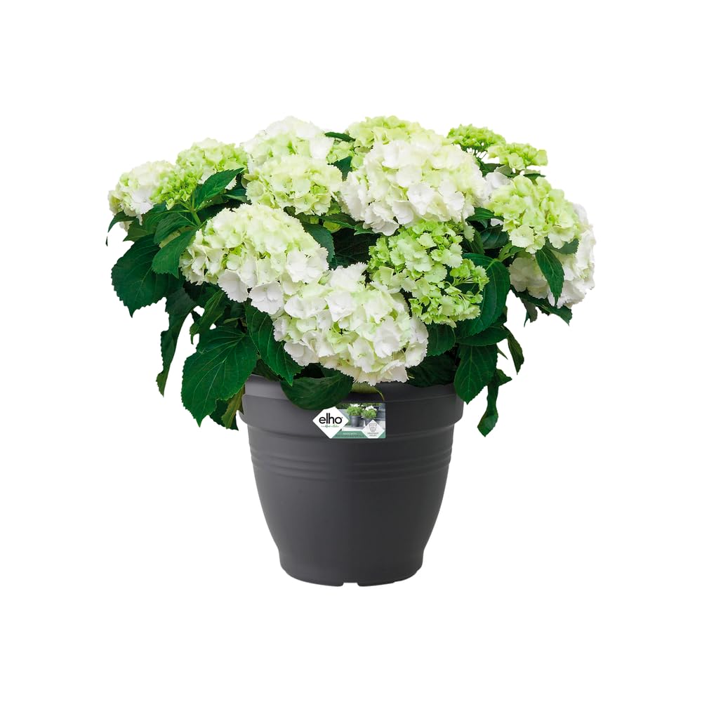 elho-green-basics-campana-pot-de-fleurs-30-cm-noir image 3