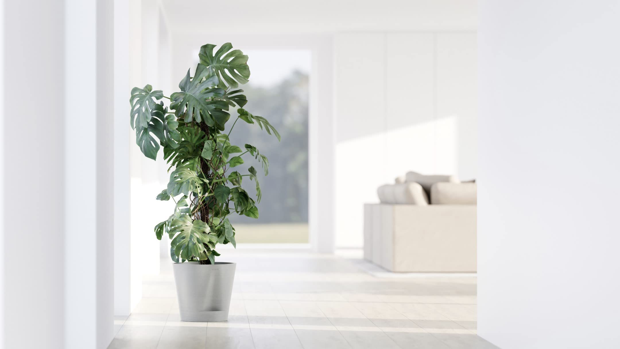 ecopots-venice-2-rond-30-cm-pot-avec-r-servoir-d-eau-blanc-gris-4-l image 3