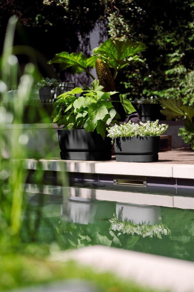 elho-green-basics-jardin-vertical-46-bac-plantes-avec-r-servoir-d-eau-et-roulett image 7