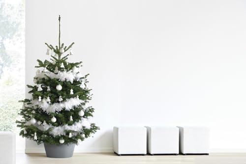 ecopots-vienna-xl-50-pot-pour-sapin-de-no-l-gris-50-x-h-24-cm-27-5-l image 8