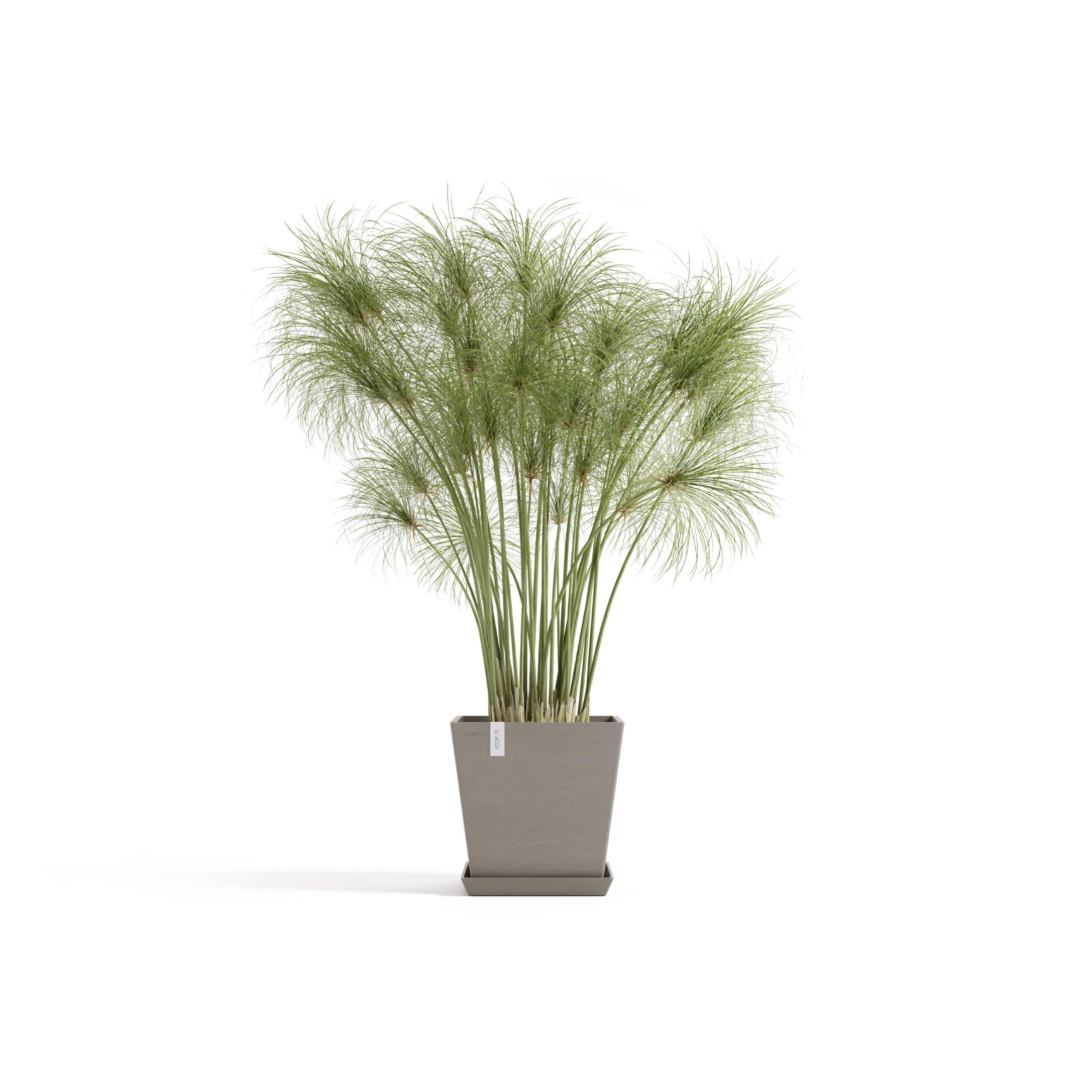 ecopots-rotterdam-25-pot-carr-taupe-avec-r-servoir-d-eau-25-2-x-25-2-x-h-24-5-cm image 4