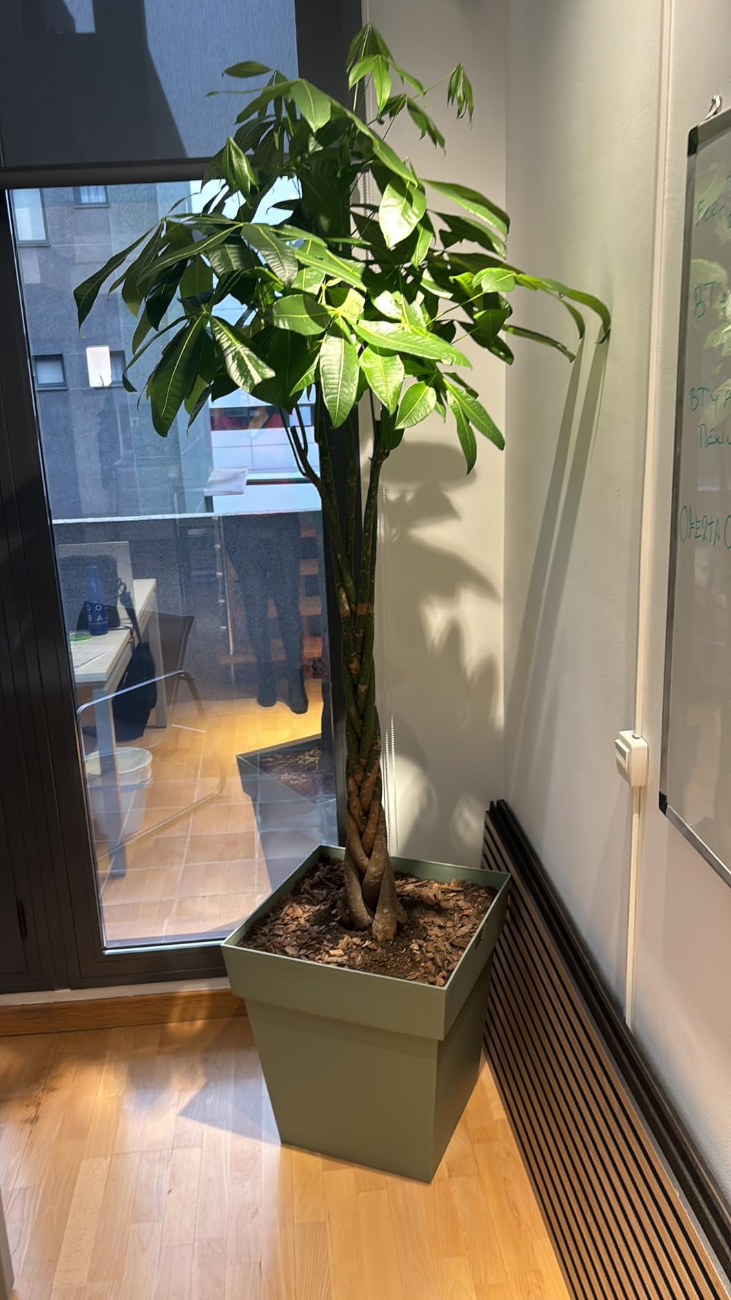 Trop léger à mon goût