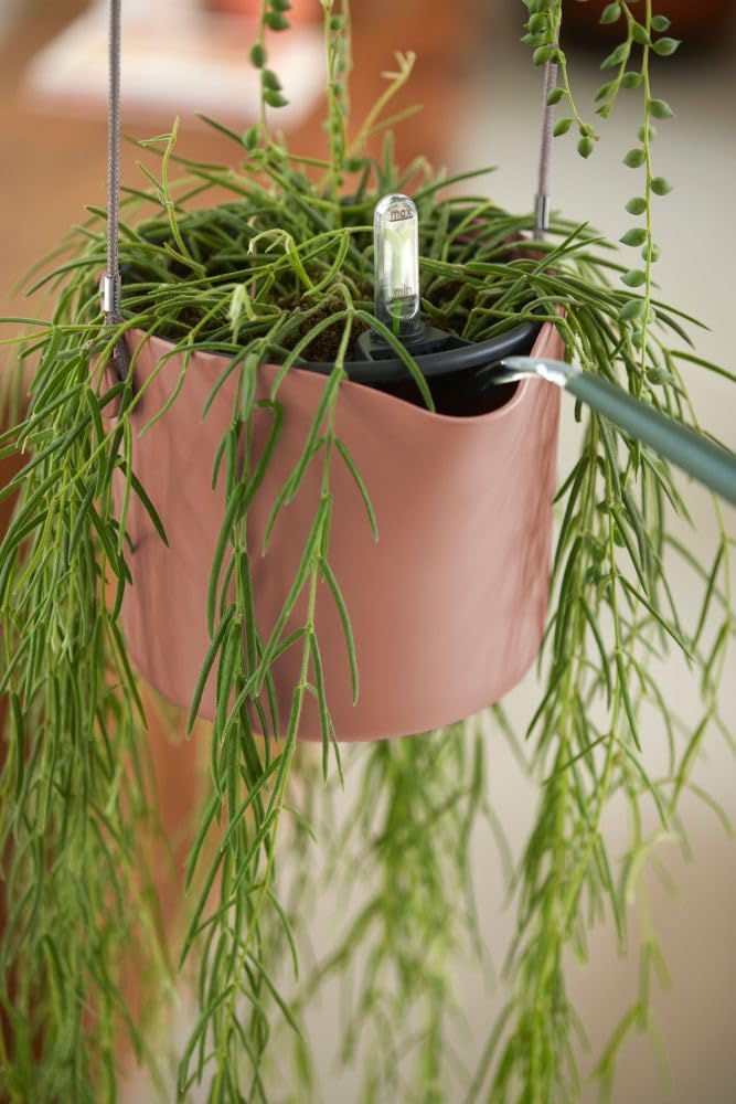 elho-b-for-swing-18-cm-pot-de-fleur-suspendu-rose-poudr image 8