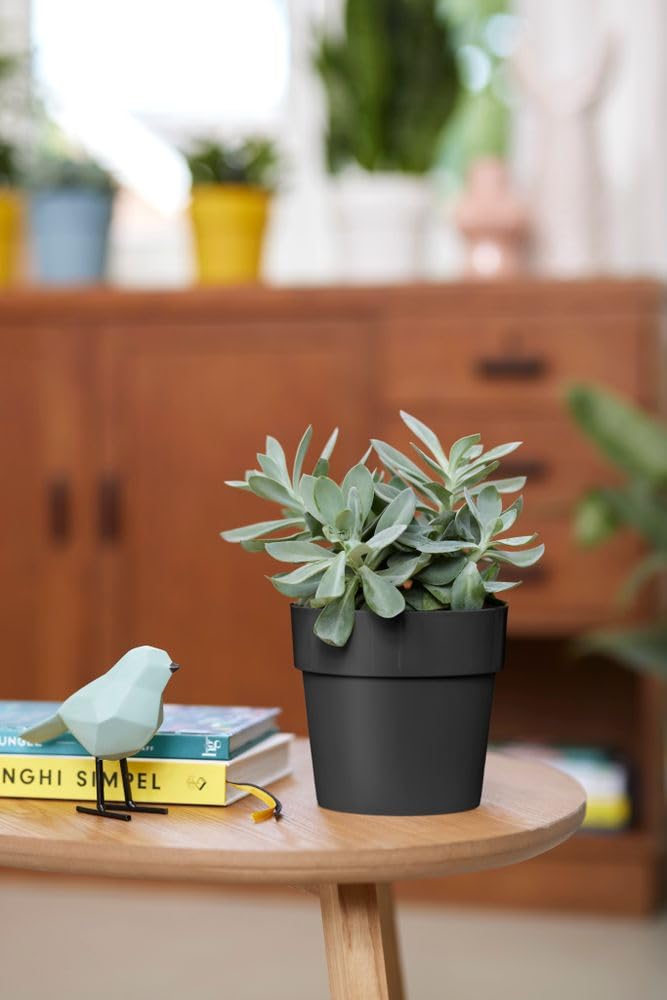 elho-b-for-original-rond-22-cm-pot-de-fleur-living-noir image 7